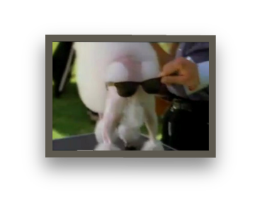 stacks_image_8A00CB8A-5A18-4968-BBEE-7BF75B1B0AAA